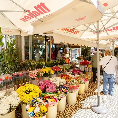 Little Libertad Heart Of Grupo Ac Gestion 카디스