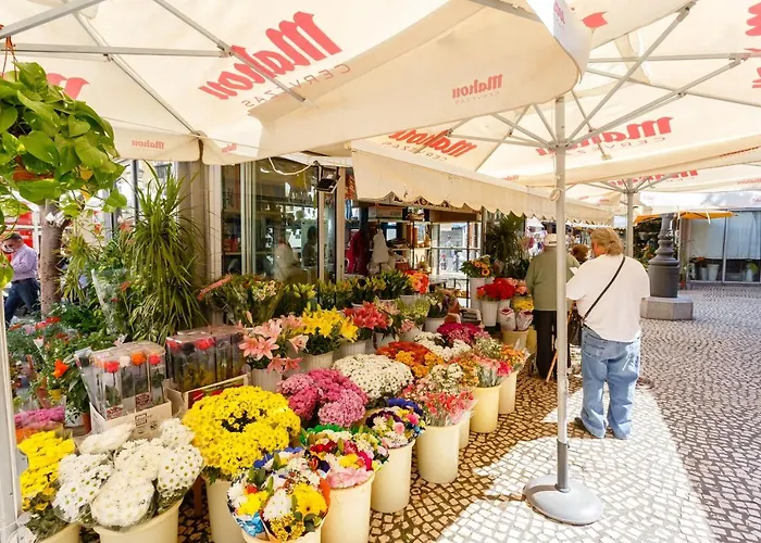 Little Libertad Heart Of Grupo Ac Gestion カディス